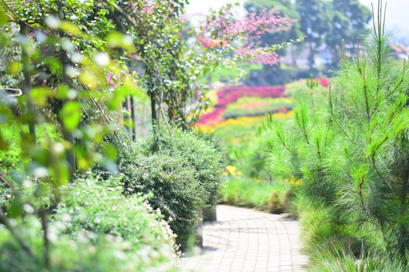 paysagiste-LE BROC-min_landscape-tree-nature-forest-light-plant-1588789-pxhere.com